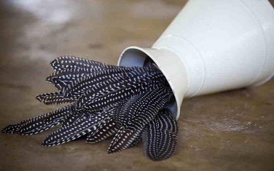 How we source and work with our African, organic materials