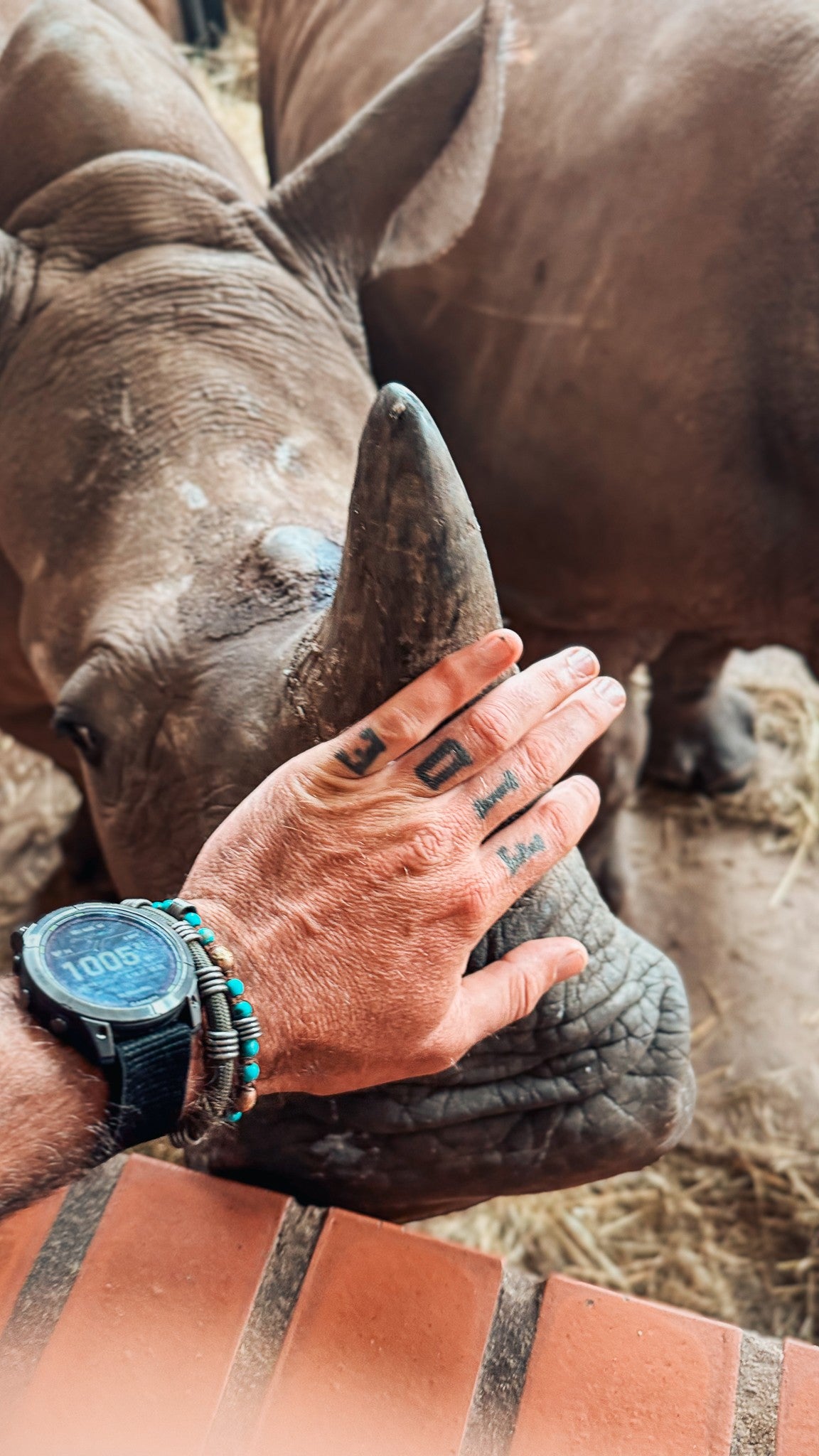 Zambian friendship snare bracelet