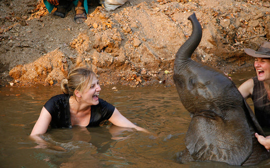 Swimming with Tafika the elephant!